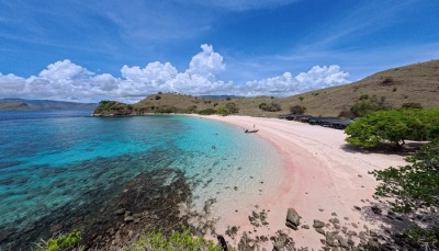 Pink Beach-Komodo indonesia tour-komodo tour package - komodo tour indonesia-best komodo tour,