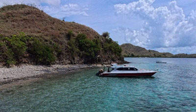 komodo indonesia tour, komodo tour, komodo tour package, lombok to flores komodo boat trip, komodo tour indonesia