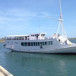 Komodo tour, komodo tour package, komodo tour indonesia best komodo tour,