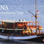 Komodo Cruise 2D/1N, Komodo indonesia Tour, Komodo tour package, komodo tour, komodo national park tour,komodo tour cruise