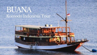 Komodo Cruise 2D/1N, Komodo indonesia Tour, Komodo tour package, komodo tour, komodo national park tour,komodo tour cruise