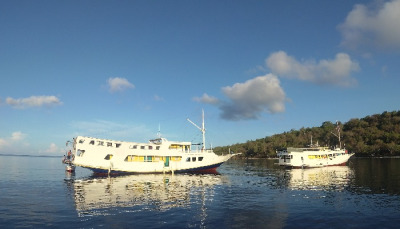 Komodo tour, komodo tour package, komodo tour indonesia best komodo tour,