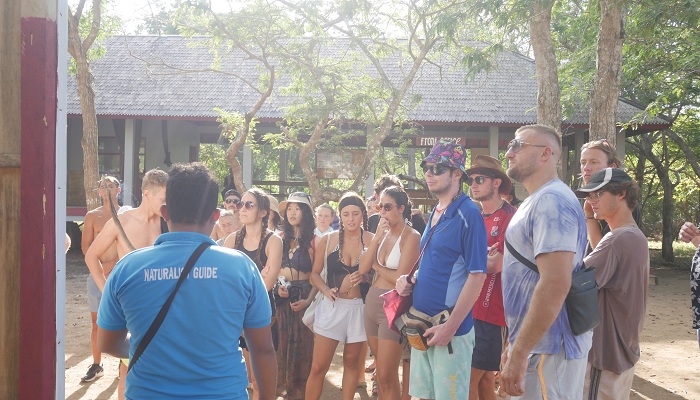 komodo indonesia tour, komodo tour, komodo tour package, lombok to flores komodo boat trip, komodo tour indonesia