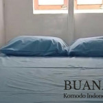 Komodo cruise 4days 3nights, Komodo Indonesia Tour, Komodo Tour Package To Komodo, Komodo Cruise