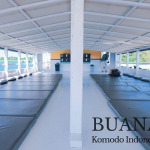 Komodo cruise 4days 3nights, Komodo Indonesia Tour, Komodo Tour Package To Komodo, Komodo Cruise