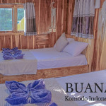 Lombok to Komodo Boat Trip 4-Days 3-Night, Komodo indonesia tour, komodo tour Package,