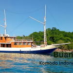 Lombok to Komodo Boat trip 4-Days 3-Night, Komodo Indonesia Tour, Komodo Cruise