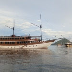 Lombok to Komodo Boat trip 4-Days 3-Night, Komodo Indonesia Tour, Komodo Cruise