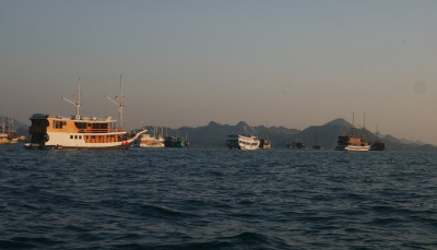 Komodo tour Indonesia from Bali guide,komodo indonesia tour, komodo tour, komodo tour package, lombok to flores komodo boat trip, komodo tour indonesia