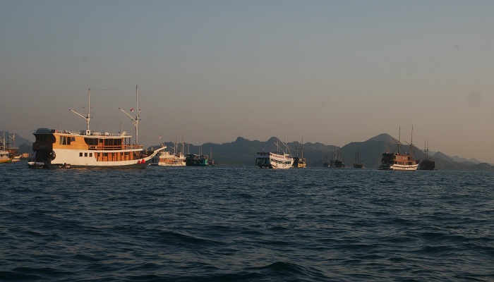 Komodo tour Indonesia from Bali guide,komodo indonesia tour, komodo tour, komodo tour package, lombok to flores komodo boat trip, komodo tour indonesia