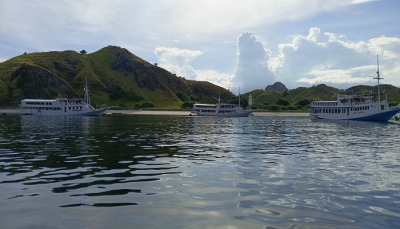 komodo boat trip, komodo tour from lombok, komodo island from bali, bali to komodo island