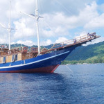Lombok to Komodo Boat trip 4-Days 3-Night, Komodo Indonesia Tour, Komodo Cruise